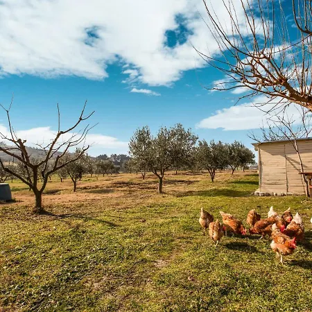 Quaint Farmhouse In Plagiari Surrounded With Olive Trees Prázdninový dům Trílofon
